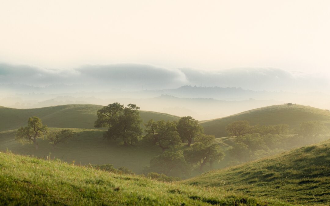 greeen nature landscape